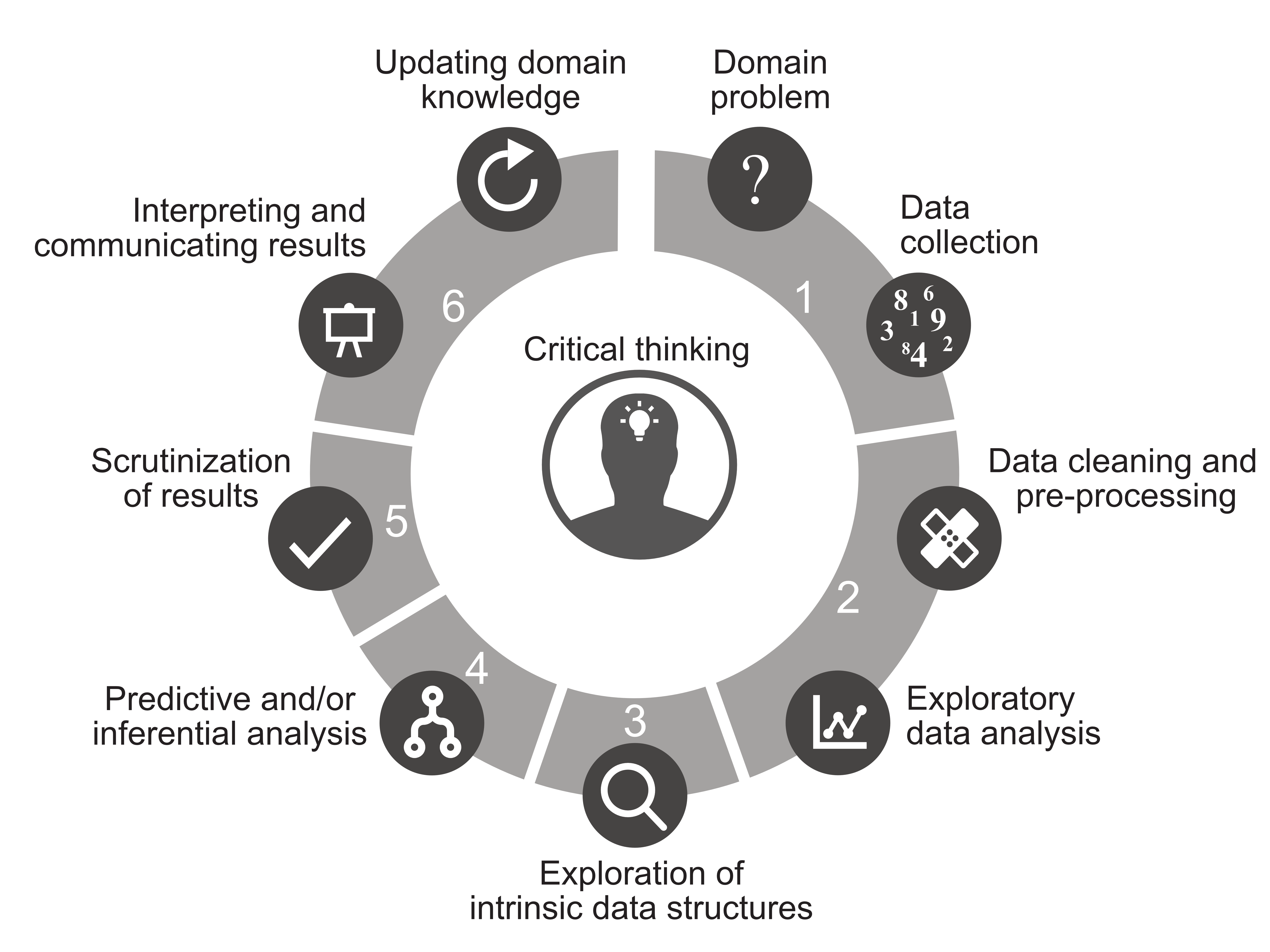 Veridical Data Science