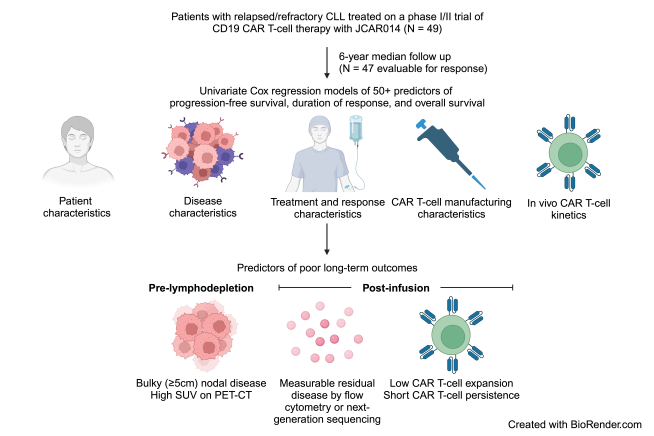 biorender_cartcell_example